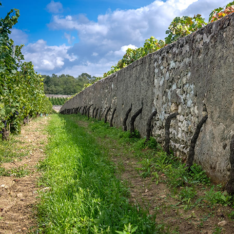 Clos Cristal, gallery 01