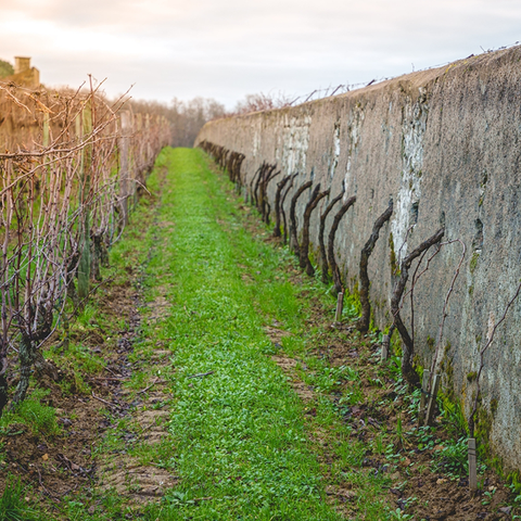 Clos Cristal, gallery 01